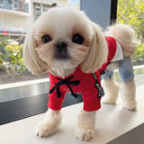 PUPPY ANGEL CITY SPORT HOODIE / RED - Miso and Friends - petshop