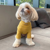 SOFT TOUCH MOCK NECK LONG SLEEVE SHIRT / YELLOW - Miso and Friends - petshop