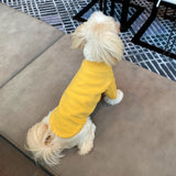SOFT TOUCH MOCK NECK LONG SLEEVE SHIRT / YELLOW - Miso and Friends - petshop