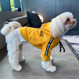 PUPPY ANGEL CITY SPORT HOODIE / YELLOW - Miso and Friends - petshop