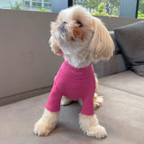 SOFT TOUCH MOCK NECK LONG SLEEVE SHIRT / MAGENTA - Miso and Friends - petshop