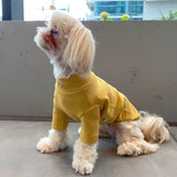 SOFT TOUCH MOCK NECK LONG SLEEVE SHIRT / YELLOW - Miso and Friends - petshop