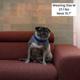 KEEP IT PREPPY NECK WARMER / VIOLET
