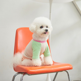 SORBET TEE / MINT PEACH
