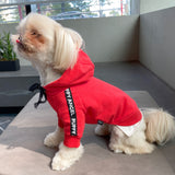 PUPPY ANGEL CITY SPORT HOODIE / RED - Miso and Friends - petshop