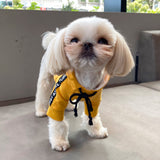 PUPPY ANGEL CITY SPORT HOODIE / YELLOW - Miso and Friends - petshop