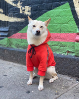 PUPPY ANGEL CITY SPORT HOODIE / RED - Miso and Friends - petshop