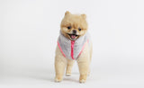 ALL EYES ON ME BOA FLEECE VEST / LIGHT GREY - Miso and Friends - petshop