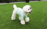 ALWAYS BE READY RAINBREAKER LITE / MINT - Miso and Friends - petshop