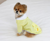 ALWAYS BE READY RAINBREAKER LITE / YELLOW - Miso and Friends - petshop
