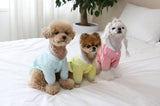 ALWAYS BE READY RAINBREAKER LITE / YELLOW - Miso and Friends - petshop