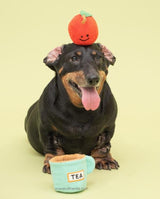 APPLE TEA CATCH TOY - Miso and Friends - petshop