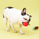 APPLE TEA CATCH TOY - Miso and Friends - petshop