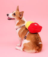 BACKPACK HUNTING TOY - Miso and Friends - petshop