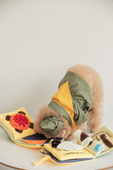 Book Toy Bundle - Miso and Friends - petshop