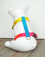 CANADA HANDCRAFTED MARTINGALE HARNESS / JUBILEE - Miso and Friends - petshop