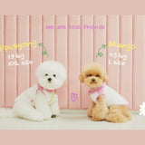 CHOUCHOU JACKET / BERRY WHITE - Miso and Friends - petshop