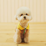 CHOUCHOU JACKET / MANGO BROWN - Miso and Friends - petshop