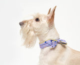 COOLING SCARF / MIX BERRY - Miso and Friends - petshop