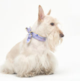 COOLING SCARF / MIX BERRY - Miso and Friends - petshop