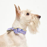 COOLING SCARF / MIX BERRY - Miso and Friends - petshop