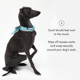 COOLING SCARF / PISTACHIO - Miso and Friends - petshop