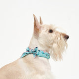 COOLING SCARF / PISTACHIO - Miso and Friends - petshop