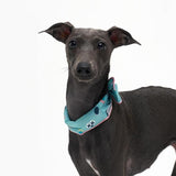 COOLING SCARF / PISTACHIO - Miso and Friends - petshop