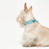 COOLING SCARF / PISTACHIO - Miso and Friends - petshop