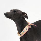 COOLING SCARF / VANILLA - Miso and Friends - petshop