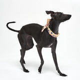 COOLING SCARF / VANILLA - Miso and Friends - petshop