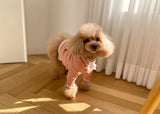CROP HOODIE / BRICK RED - Miso and Friends - petshop