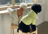 CROP HOODIE / LIME GREEN - Miso and Friends - petshop