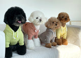 CROP HOODIE / YELLOW - Miso and Friends - petshop