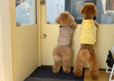 CROP HOODIE / YELLOW - Miso and Friends - petshop