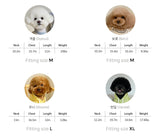 CROP HOODIE / YELLOW - Miso and Friends - petshop