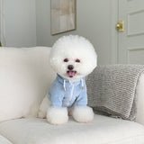 CUDDLE ME HOODIE / BABY SODA - Miso and Friends - petshop