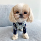DAILY DENIM DOG OVERALLS / VINTAGE LIGHT BLUE - Miso and Friends - petshop