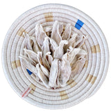 DEHYDRATED RABBIT EARS - Miso and Friends - petshop