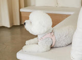 DELIGHT HARNESS AND LEASH SET / PINK - Miso and Friends - petshop