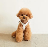 DELIGHT HARNESS AND LEASH SET / WHITE - Miso and Friends - petshop