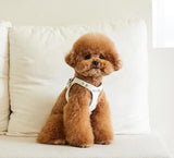 DELIGHT HARNESS AND LEASH SET / WHITE - Miso and Friends - petshop