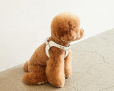 DELIGHT HARNESS AND LEASH SET / WHITE - Miso and Friends - petshop