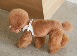 DELIGHT HARNESS AND LEASH SET / WHITE - Miso and Friends - petshop