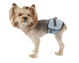 DENIM BELLY BAND / BLUE - Miso and Friends - petshop