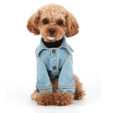 DENIM JACKET / LIGHT BLUE - Miso and Friends - petshop