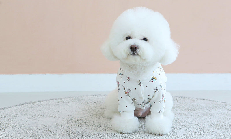 HOME SWEET HOME BUTTON UP HOODIE / WHITE - Miso and Friends - petshop