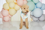 IT'S MY BIRTHDAY BIB / BLUE - Miso and Friends - petshop