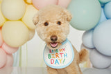 IT'S MY BIRTHDAY BIB / BLUE - Miso and Friends - petshop
