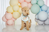IT'S MY BIRTHDAY BIB / BLUE - Miso and Friends - petshop
